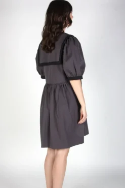 Hot BIRDS OF NORTH AMERICA Fulvetta Dress - Iron