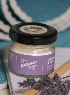 Fashion DANS LA PRAIRIE Off-Brain Candle - 220 ml