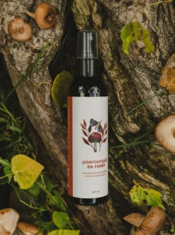 Hot DANS LA PRAIRIE IN THE PRAIRIE Ambiance Drizzle Walk in the Forest - 120 ml